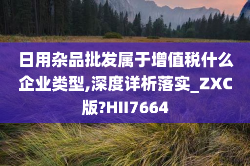 日用杂品批发属于增值税什么企业类型,深度详析落实_ZXC版?HII7664