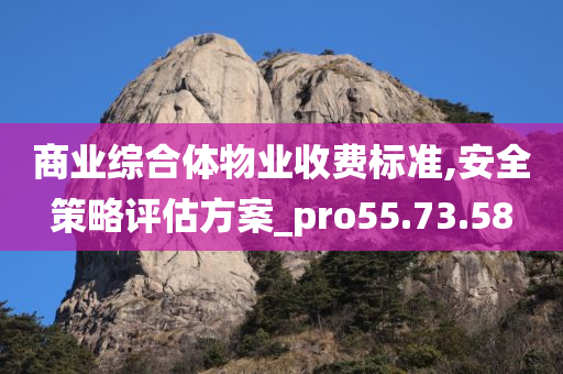 商业综合体物业收费标准,安全策略评估方案_pro55.73.58