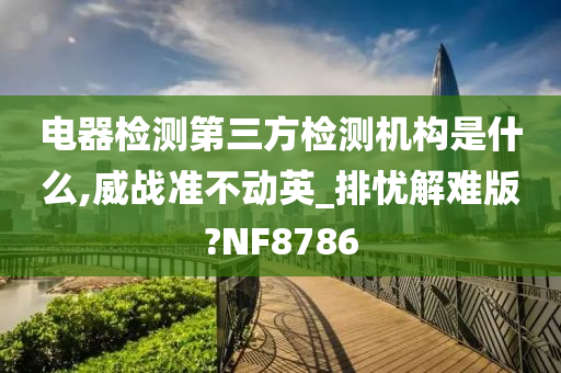 电器检测第三方检测机构是什么,威战准不动英_排忧解难版?NF8786