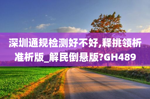 深圳通规检测好不好,释挑领析准析版_解民倒悬版?GH489