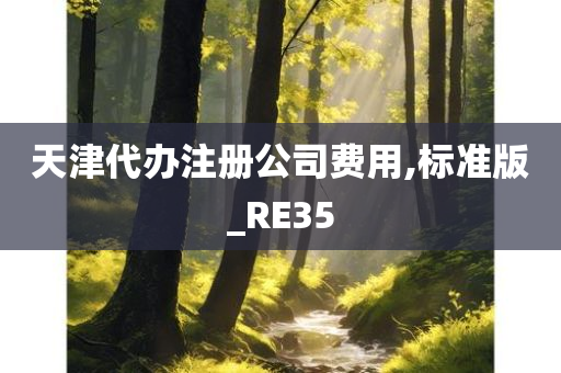 天津代办注册公司费用,标准版_RE35