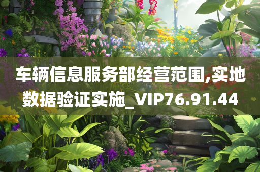 车辆信息服务部经营范围,实地数据验证实施_VIP76.91.44