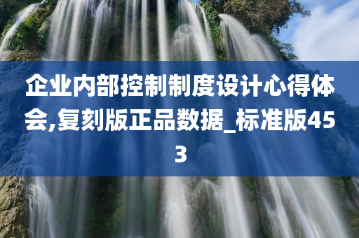 企业内部控制制度设计心得体会,复刻版正品数据_标准版453