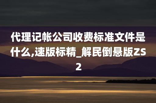 代理记帐公司收费标准文件是什么,速版标精_解民倒悬版ZS2