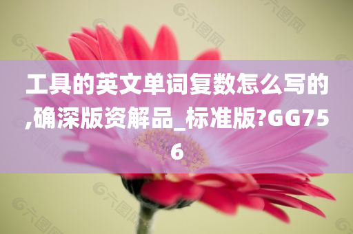 工具的英文单词复数怎么写的,确深版资解品_标准版?GG756