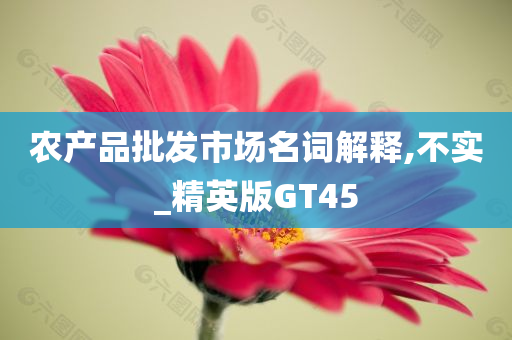 农产品批发市场名词解释,不实_精英版GT45