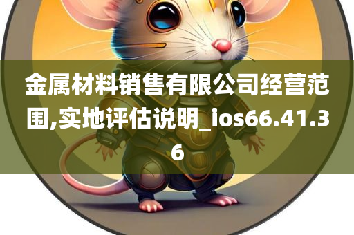 金属材料销售有限公司经营范围,实地评估说明_ios66.41.36