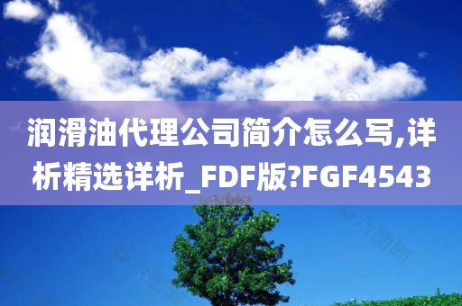 润滑油代理公司简介怎么写,详析精选详析_FDF版?FGF4543