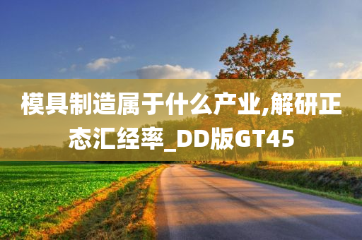 模具制造属于什么产业,解研正态汇经率_DD版GT45