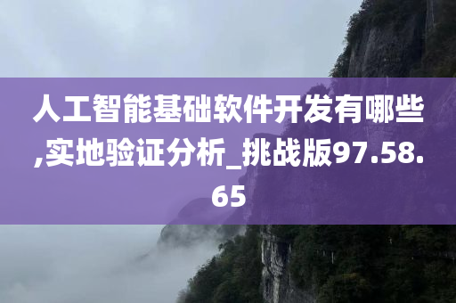 人工智能基础软件开发有哪些,实地验证分析_挑战版97.58.65