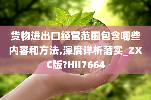 货物进出口经营范围包含哪些内容和方法,深度详析落实_ZXC版?HII7664