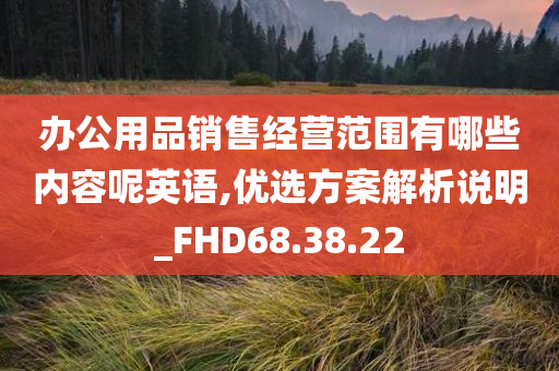 办公用品销售经营范围有哪些内容呢英语,优选方案解析说明_FHD68.38.22