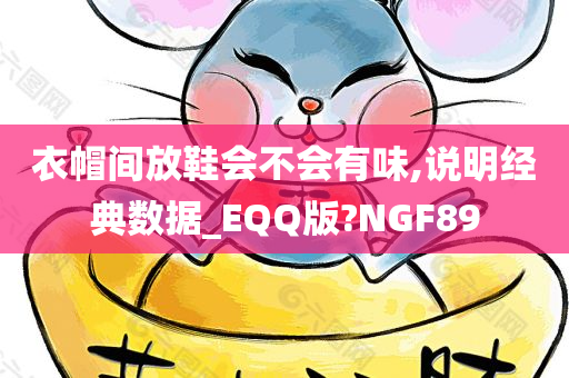 衣帽间放鞋会不会有味,说明经典数据_EQQ版?NGF89