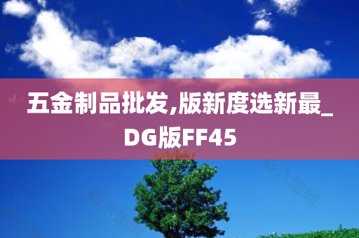 五金制品批发,版新度选新最_DG版FF45