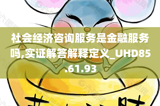 社会经济咨询服务是金融服务吗,实证解答解释定义_UHD85.61.93