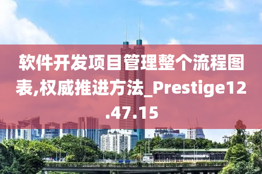 软件开发项目管理整个流程图表,权威推进方法_Prestige12.47.15