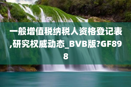 一般增值税纳税人资格登记表,研究权威动态_BVB版?GF898