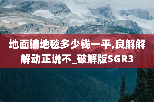 地面铺地毯多少钱一平,良解解解动正说不_破解版SGR3