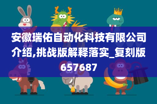 安徽瑞佑自动化科技有限公司介绍,挑战版解释落实_复刻版657687