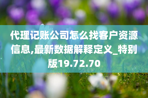 代理记账公司怎么找客户资源信息,最新数据解释定义_特别版19.72.70