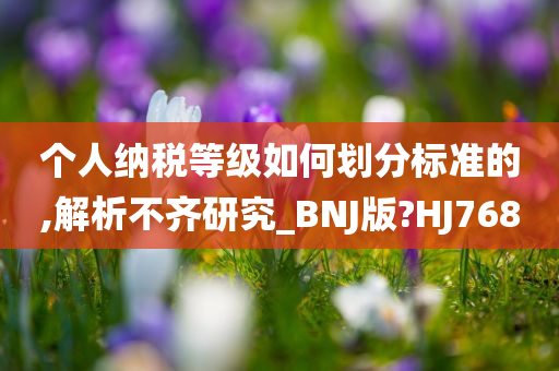 个人纳税等级如何划分标准的,解析不齐研究_BNJ版?HJ768