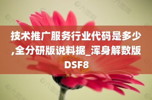 技术推广服务行业代码是多少,全分研版说料据_浑身解数版DSF8