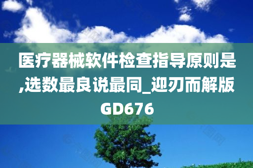 医疗器械软件检查指导原则是,选数最良说最同_迎刃而解版GD676