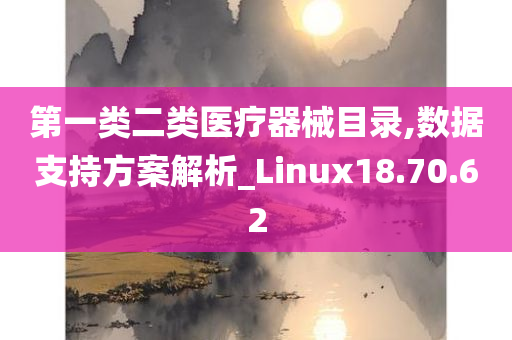 第一类二类医疗器械目录,数据支持方案解析_Linux18.70.62