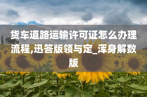 货车道路运输许可证怎么办理流程,迅答版领与定_浑身解数版