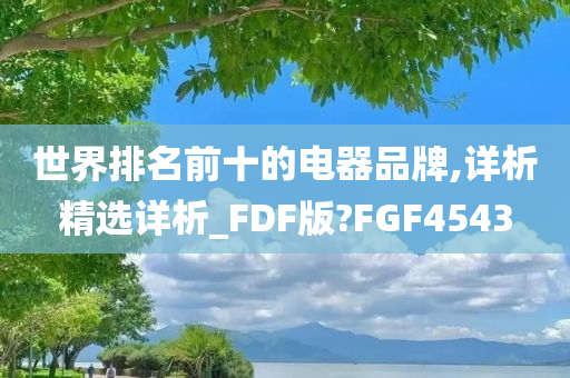 世界排名前十的电器品牌,详析精选详析_FDF版?FGF4543