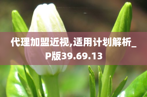 代理加盟近视,适用计划解析_P版39.69.13