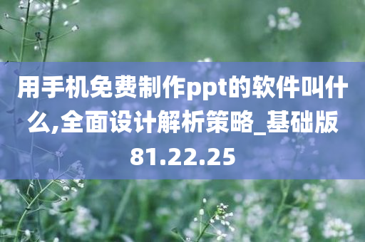 用手机免费制作ppt的软件叫什么,全面设计解析策略_基础版81.22.25