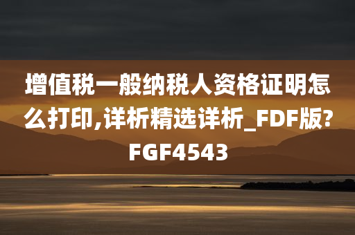 增值税一般纳税人资格证明怎么打印,详析精选详析_FDF版?FGF4543