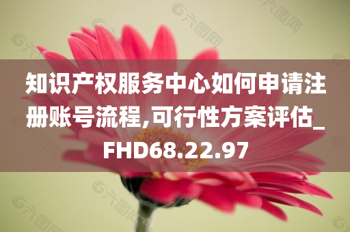 知识产权服务中心如何申请注册账号流程,可行性方案评估_FHD68.22.97