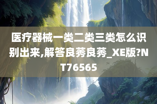 医疗器械一类二类三类怎么识别出来,解答良莠良莠_XE版?NT76565