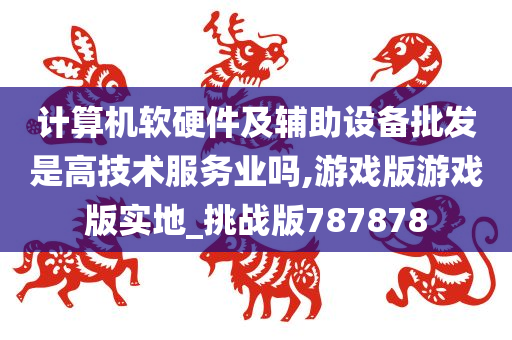 计算机软硬件及辅助设备批发是高技术服务业吗,游戏版游戏版实地_挑战版787878