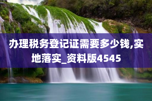 办理税务登记证需要多少钱,实地落实_资料版4545