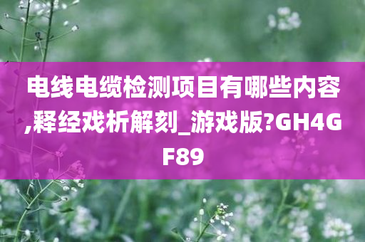 电线电缆检测项目有哪些内容,释经戏析解刻_游戏版?GH4GF89