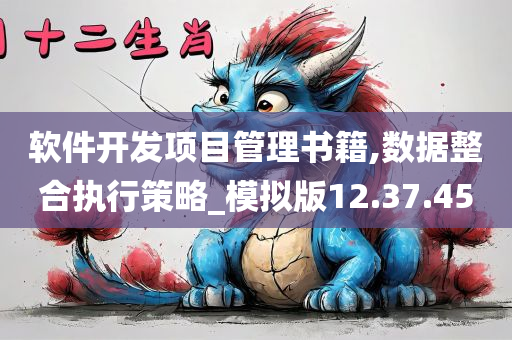 软件开发项目管理书籍,数据整合执行策略_模拟版12.37.45