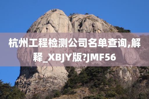 杭州工程检测公司名单查询,解释_XBJY版?JMF56