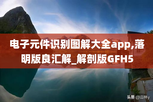 电子元件识别图解大全app,落明版良汇解_解剖版GFH5