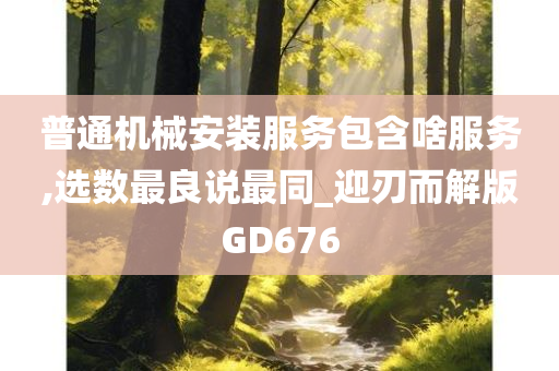 普通机械安装服务包含啥服务,选数最良说最同_迎刃而解版GD676