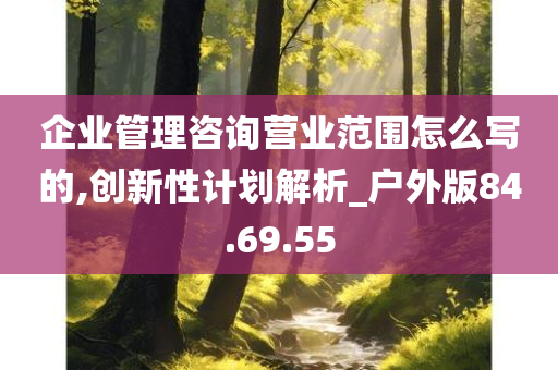 企业管理咨询营业范围怎么写的,创新性计划解析_户外版84.69.55