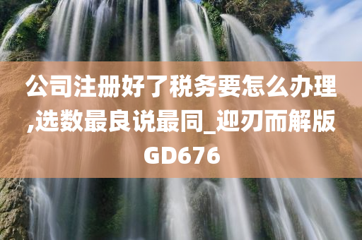 公司注册好了税务要怎么办理,选数最良说最同_迎刃而解版GD676