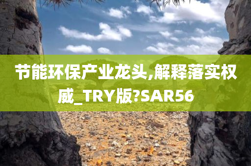 节能环保产业龙头,解释落实权威_TRY版?SAR56