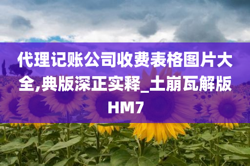 代理记账公司收费表格图片大全,典版深正实释_土崩瓦解版HM7