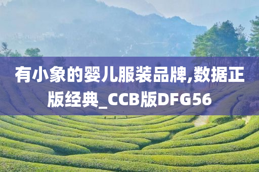 有小象的婴儿服装品牌,数据正版经典_CCB版DFG56