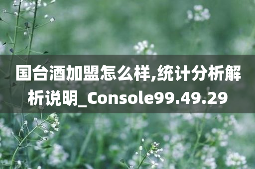 国台酒加盟怎么样,统计分析解析说明_Console99.49.29