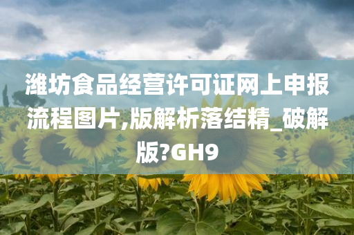 潍坊食品经营许可证网上申报流程图片,版解析落结精_破解版?GH9