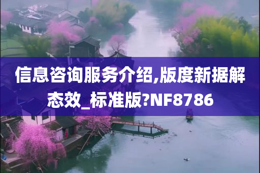 信息咨询服务介绍,版度新据解态效_标准版?NF8786